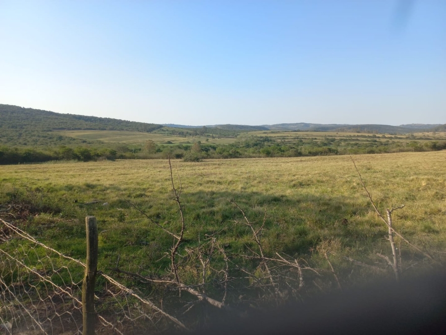 Commercial Property for Sale in Komga Rural Eastern Cape